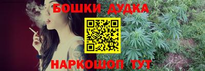 крисы Усть-Илимск