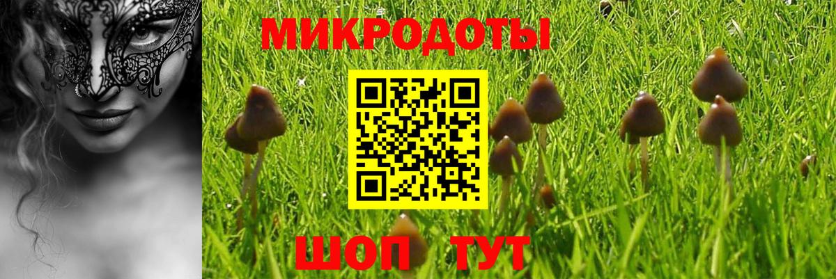 Псилоцибиновые грибы Psilocybe  Вход с VPN  Дубна 
