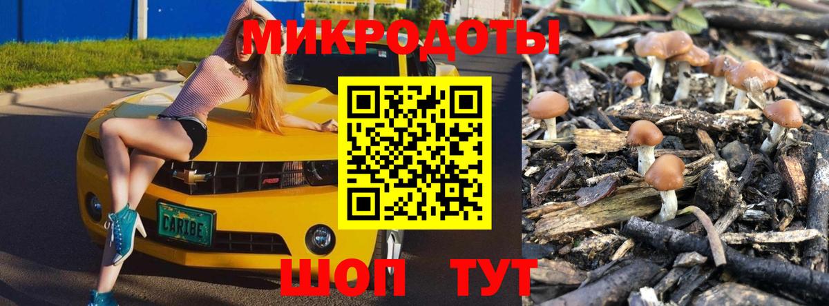 Псилоцибиновые грибы Magic Shrooms Дубна
